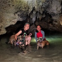 A Pet Friendly Cenote on the Yucatan Peninsula – An adventure to share with your four-legged friend